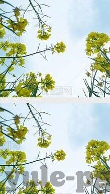 竞彩足球捷报比分-竞彩足球捷报比分，绿茵场上的智慧博弈与数据盛宴