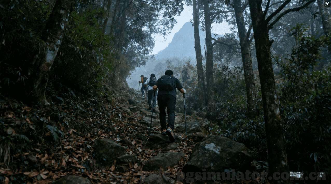世界杯法国对巴拉佳-法国与巴拉圭，世界杯赛场上的较量